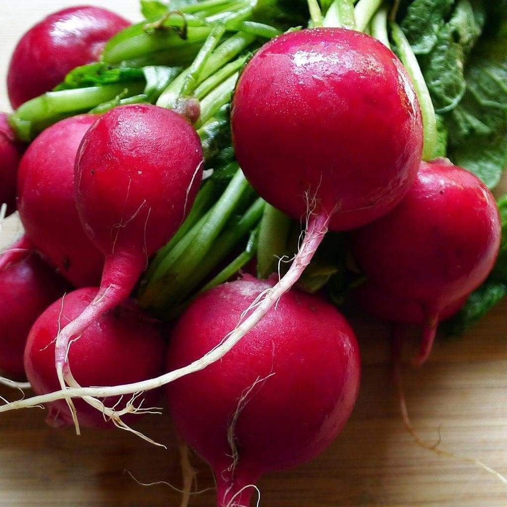 200 Ct Cherry Belle Radish Garden Heirloom NON-GMO Vegetable Seeds | www.seedsplantworld.com