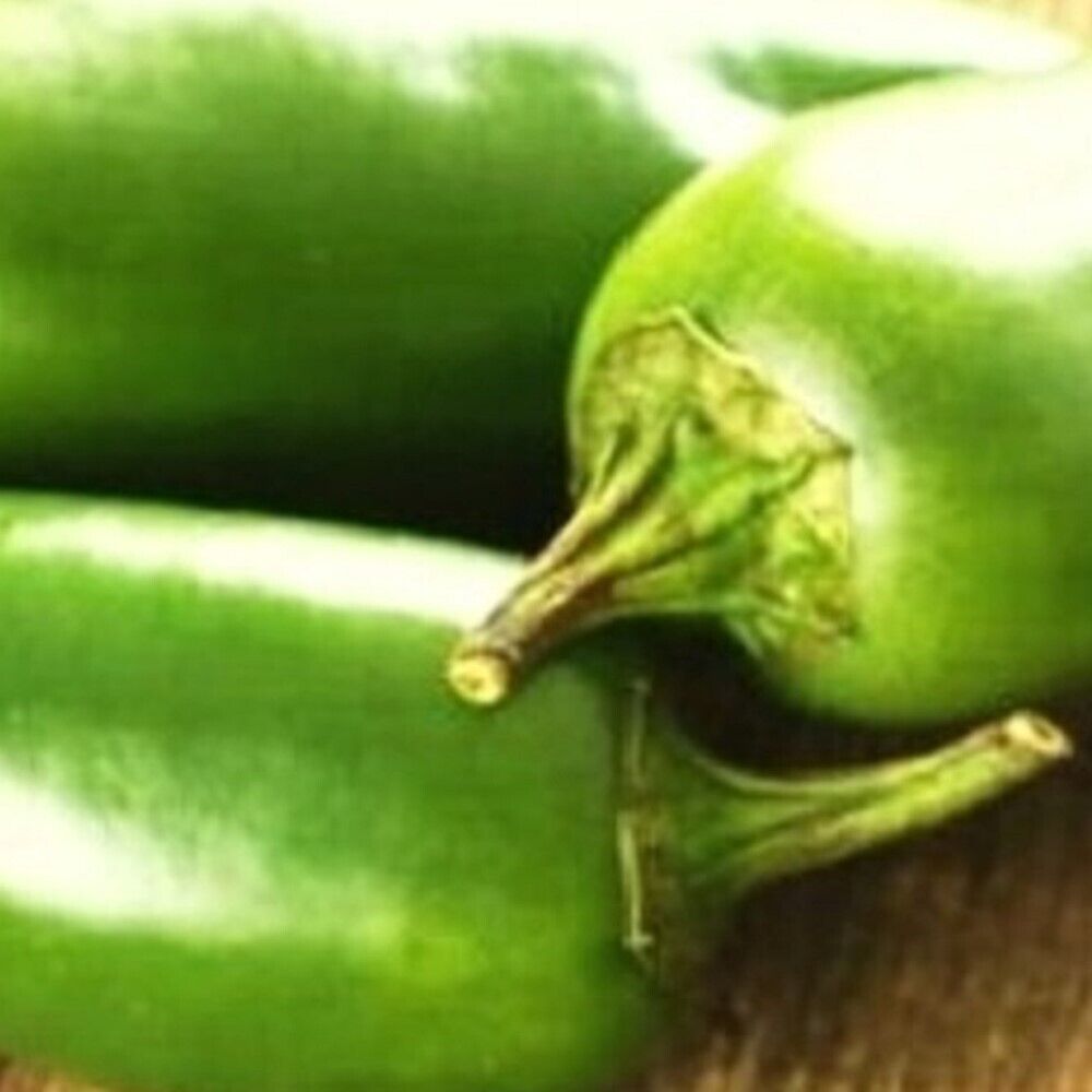 100 Jalapeno M Pepper NON-GMO Heirloom Fruit Seeds | www.seedsplantworld.com