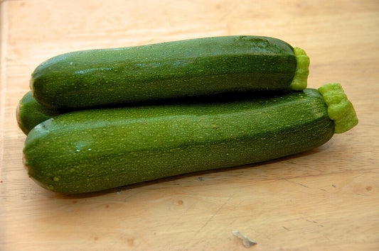 20 Squash Zucchini Garden Vegetable Seeds | www.seedsplantworld.com