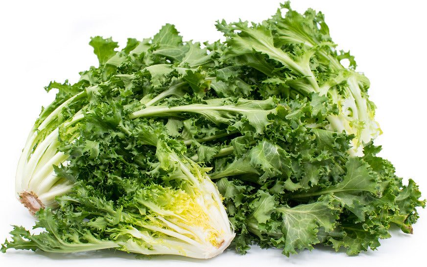 350 Endive Green Curled Ruffec Salad Greens Vegetable Seeds | www.seedsplantworld.com