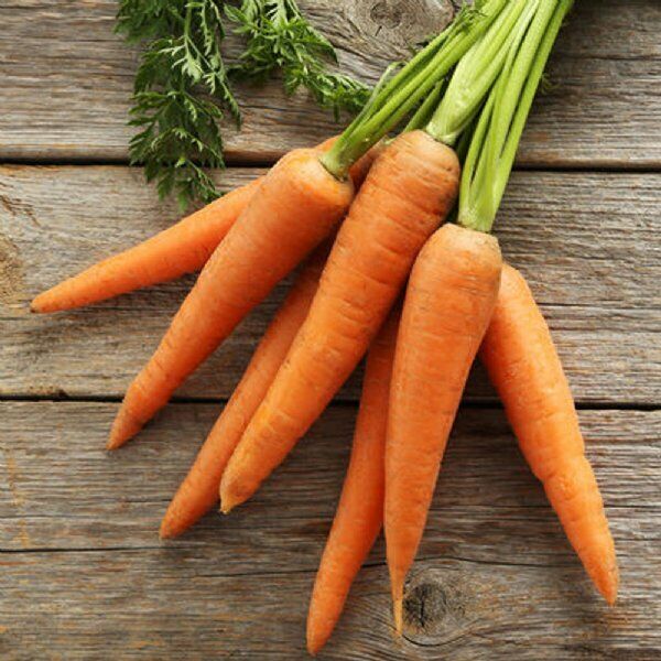 1000+ Little Finger Carrot Garden Heirloom NON-GMO Vegetable Seeds | www.seedsplantworld.com