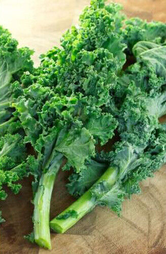 200 Kale Vegetable Seeds