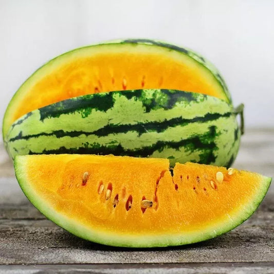 10 Orangeglo Watermelon Seeds Non-GMO Fruit Seeds | www.seedsplantworld.com