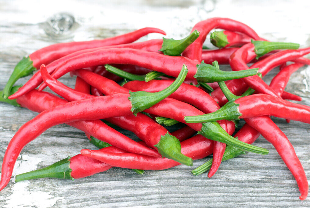 115 Pepper Cayenne Pepper Vegetable Seeds | www.seedsplantworld.com