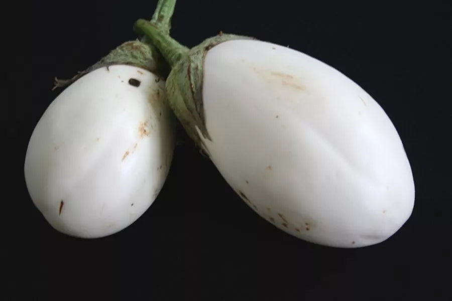 25 Wonder Eggs Eggplant White Wonder Vegetable Seeds | www.seedsplantworld.com