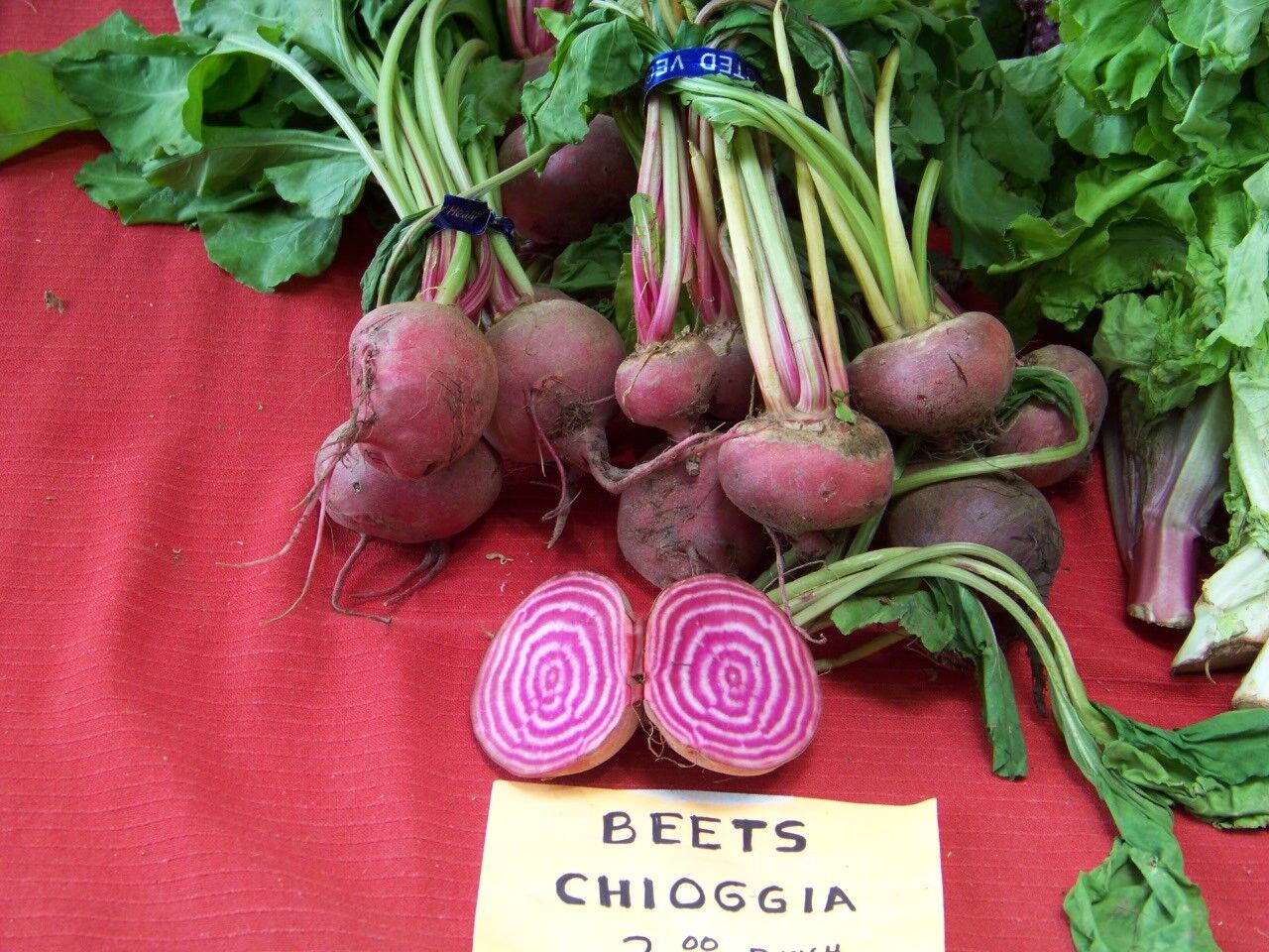 165 Beet Chioggia Candystripe Bullseye Beet Vegetable Seeds | www.seedsplantworld.com