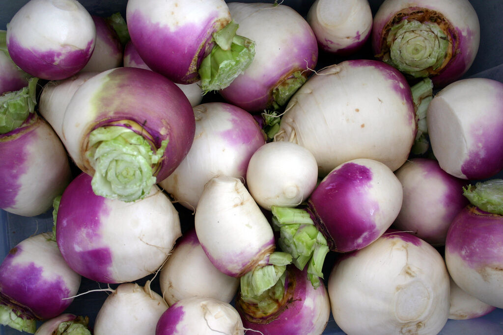 1360 Turnip Purple Top Eat Greens Vegetable Seeds | www.seedsplantworld.com