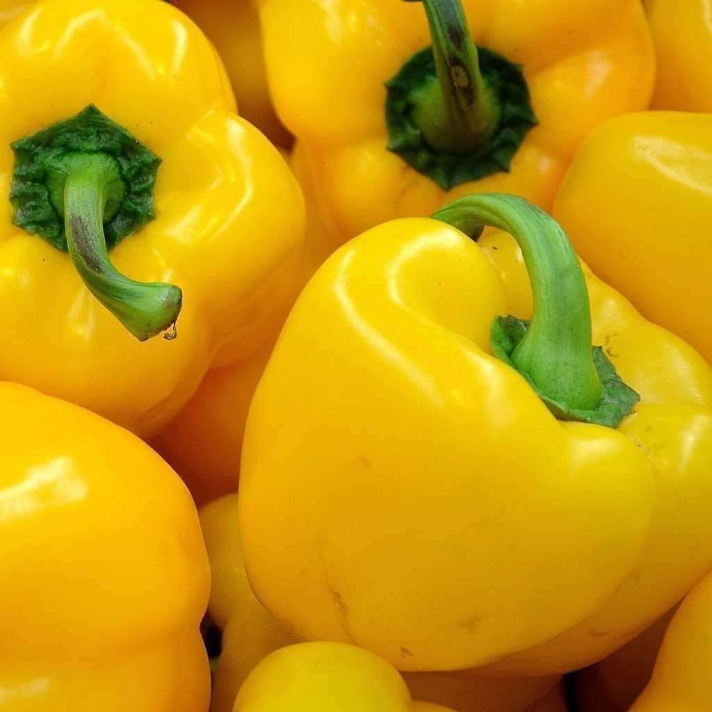 25+ Sunbright Yellow Bell Pepper NON-GMO Vegetable Seeds | www.seedsplantworld.com