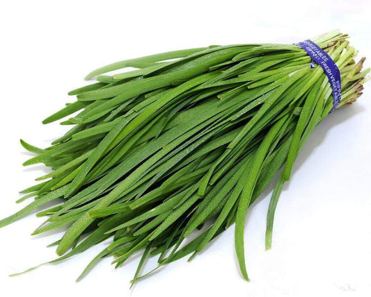 250 Chives Garlic Heirloom Herb Seeds | www.seedsplantworld.com