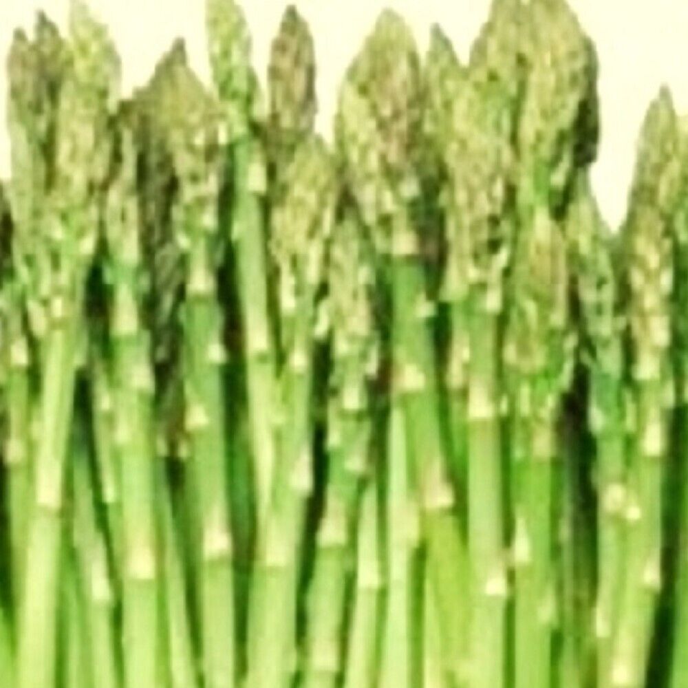 100 Mary Washington Asparagus NON-GMO Heirloom Vegetable Seeds | www.seedsplantworld.com