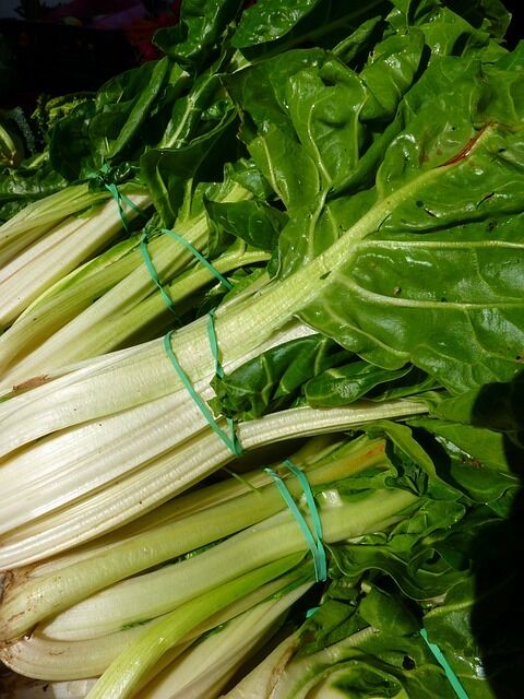 250 Barese Swiss Chard White Rib Perpetual Spinach Beta Vulgaris Vegetable Seeds | www.seedsplantworld.com