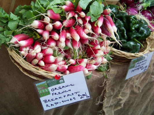 265 Radish French Breakfast Radish Vegetable Seeds | www.seedsplantworld.com