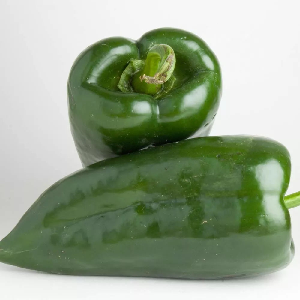 15 Poblano Pepper Seeds Heirloom Non-GMO Vegetable Seed | www.seedsplantworld.com