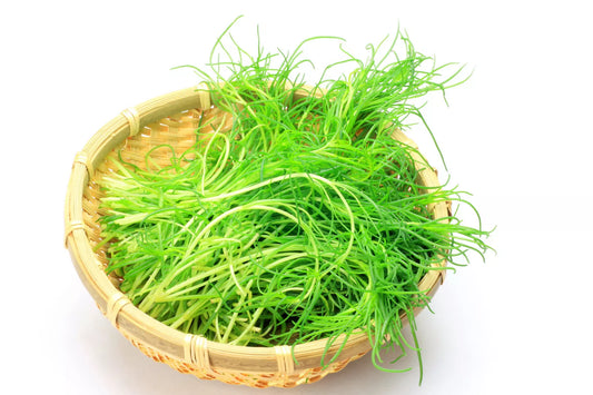 75 Saltwort Okahijiki Japanese Greens Salsola Komarovii Leaf Vegetable Seeds | www.seedsplantworld.com