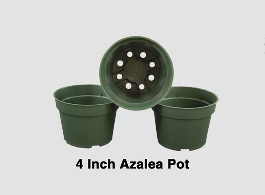 4 Inch Round Azalea Pots Green Plastic For Flowers, Herbs, Perennials (100 Pcs) | www.seedsplantworld.com