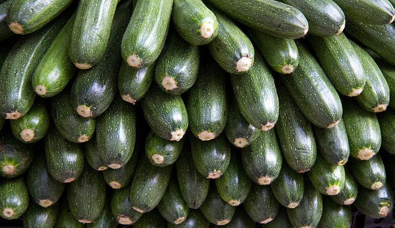 30 Gray Zucchini Heirloom Summer Bush Squash Cucurbita Pepo Vegetable Seeds | www.seedsplantworld.com