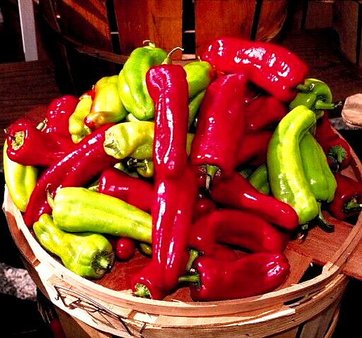 50 Sweet Cuban Pepper Rare Spring Vegetable Garden Heirloom Non-Gmo Vegetable Seeds | www.seedsplantworld.com