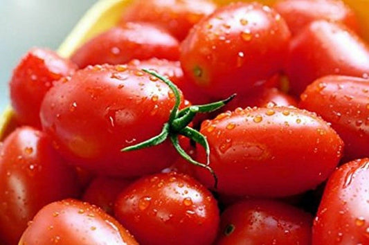 100 Ct Crovarese Italian Grape Tomato Heirloom Vegetable Seeds | www.seedsplantworld.com