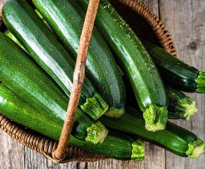 20 Dark Green Zucchini Squash Vegetable Seeds