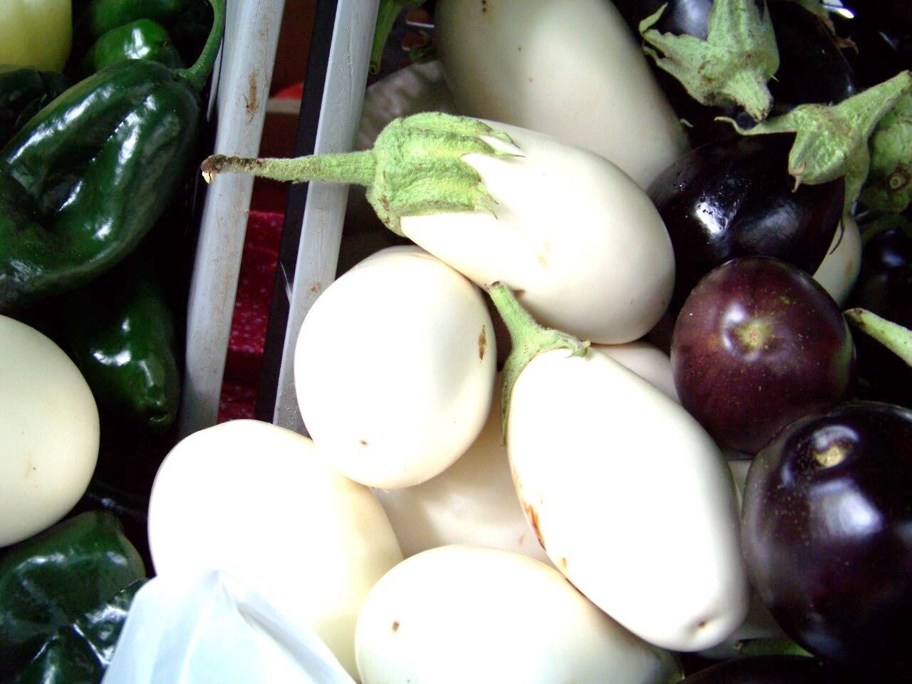 25 Eggplant White Casper Rare Heirloom Vegetable Seeds | www.seedsplantworld.com