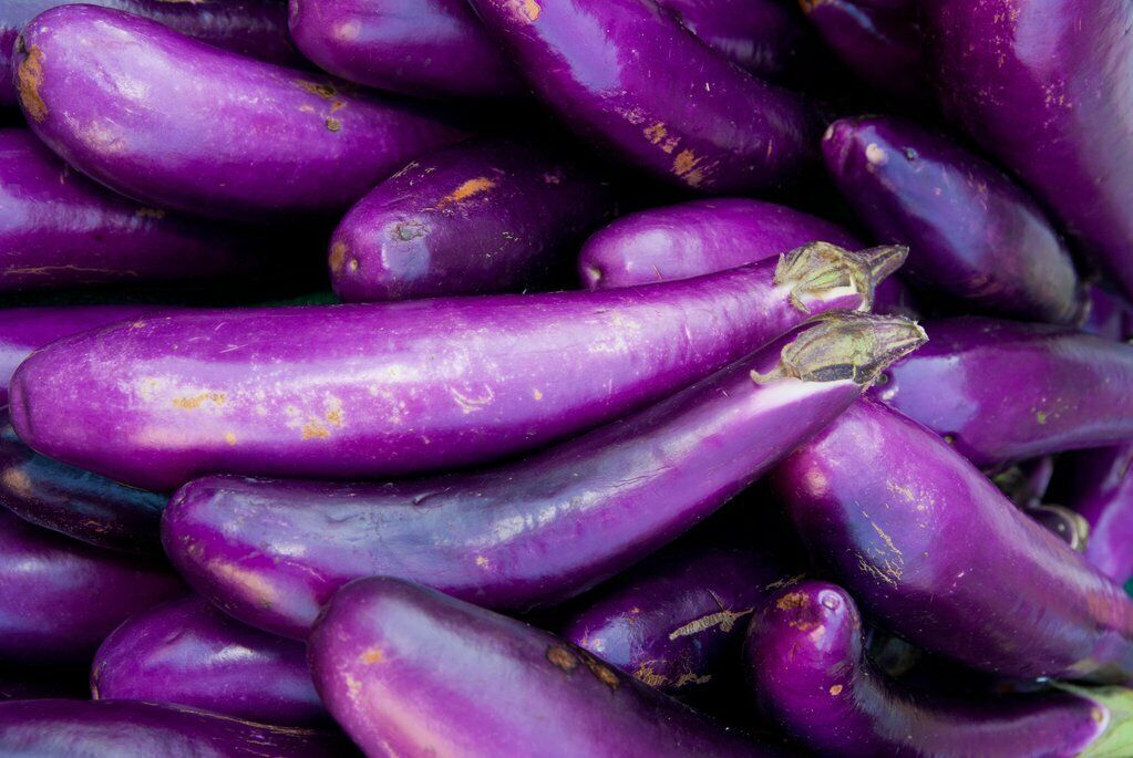 200+ Eggplant Long Purple Garden Heirloom NON-GMO Vegetable Seeds | www.seedsplantworld.com