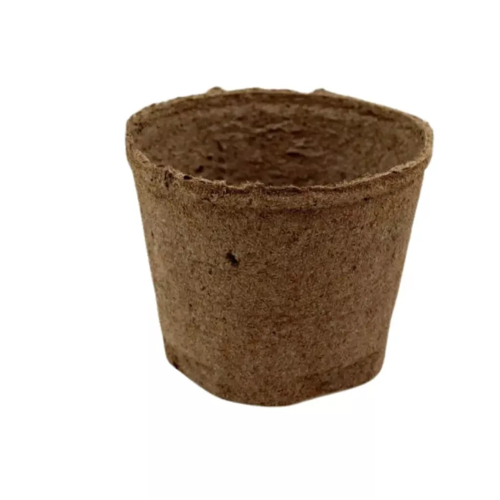 Jiffy Peat Pots #160 6 Inch Round Biodegradable Planting Pots Case (198 Pcs) | www.seedsplantworld.com