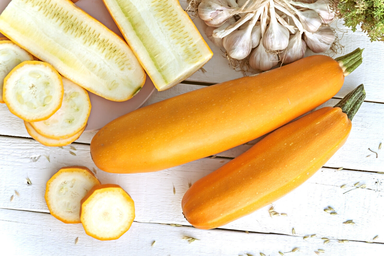 50 Golden Zucchini Heirloom Summer Bush Squash Cucurbita Pepo Yellow Veg Seeds | www.seedsplantworld.com