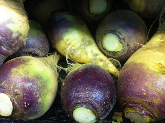 920 Rutabaga American Purple Top Vegetable Seeds | www.seedsplantworld.com