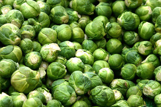 500 Heirloom Brussel Sprout Brassica Oleracea Green Long Island Vegetable Seeds | www.seedsplantworld.com