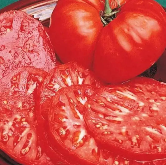 35 Tomato Beefsteak Meaty Fruit Seeds | www.seedsplantworld.com