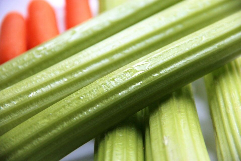 1000 Tendercrisp Celery Stalks & Leaves Apium Graveolens Vegetable Seeds | www.seedsplantworld.com