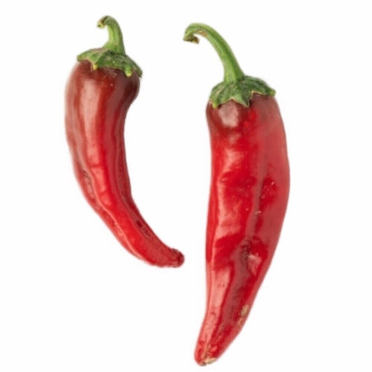 100 NuMex Joe E Parker Hot Pepper NON-GMO Heirloom Vegetable Seeds | www.seedsplantworld.com