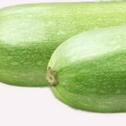 80 Italian Squash Zucchini NON-GMO Heirloom Fruit Seeds | www.seedsplantworld.com