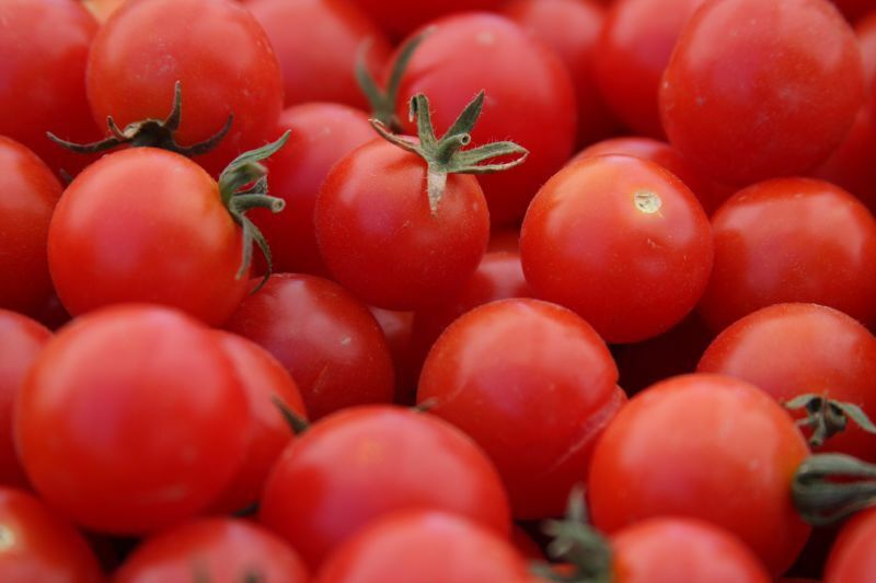 100 Ct Large Red Cherry Tomato Heirloom NON-GMO Vegetable Seeds | www.seedsplantworld.com