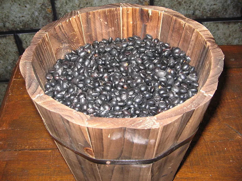 20 Organic Sweet Korean Black Soybean Glycine Max Edamame Bean Vegetable Seeds | www.seedsplantworld.com