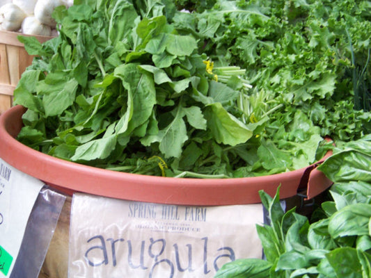 700 Arugula Roquette Salad Greens Vegetable Seeds | www.seedsplantworld.com