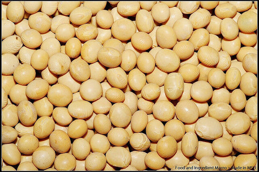 22 Soybeans White Soybean Soy Bean Vegetable Seeds | www.seedsplantworld.com