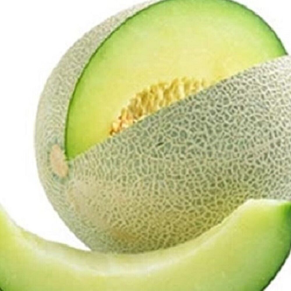 100 Honeydew Green Melon NON-GMO Heirloom Fruit Seeds | www.seedsplantworld.com