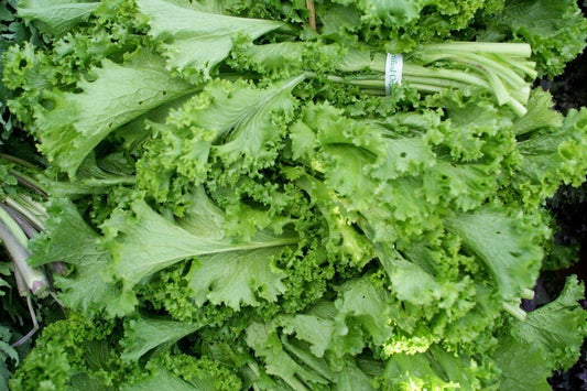 500+ Tendergreen Mustard Komatsuna Spinach Greens Vegetable Seeds | www.seedsplantworld.com