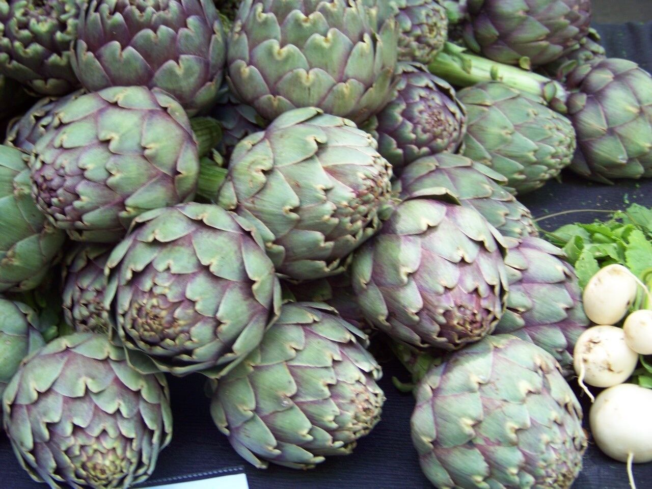 40 Artichoke Green Globe Heirloom Vegetble Seeds | www.seedsplantworld.com