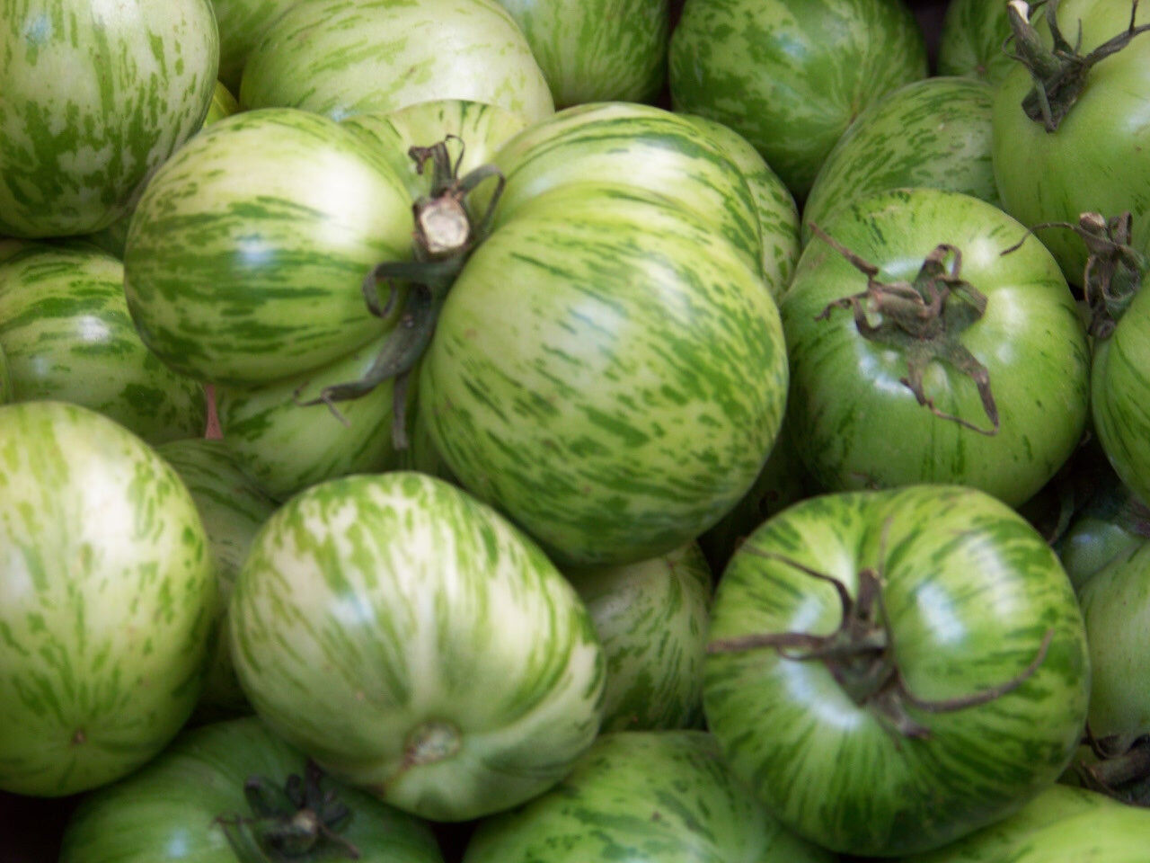 50 Tomato Green Zebra Heirloom Vegetable Seeds | www.seedsplantworld.com