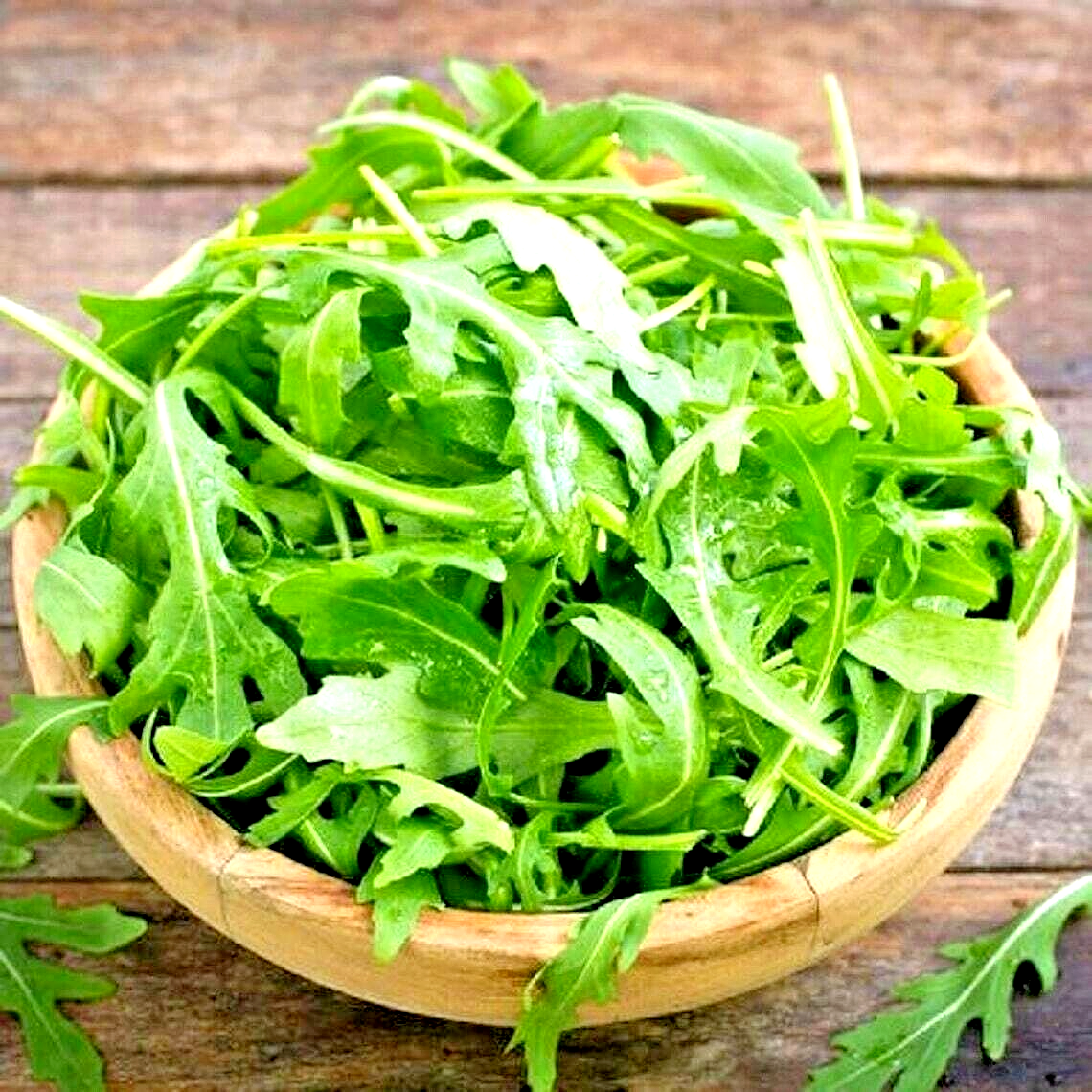 200 Arugula Autumn Garden Vegetable Salads Herb Microgreens Non-Gmo Vegetable Seeds | www.seedsplantworld.com