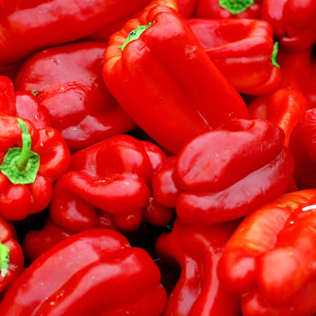 25+ Big Red Sweet Pepper Capsicum Anuum Vegetable Seeds | www.seedsplantworld.com