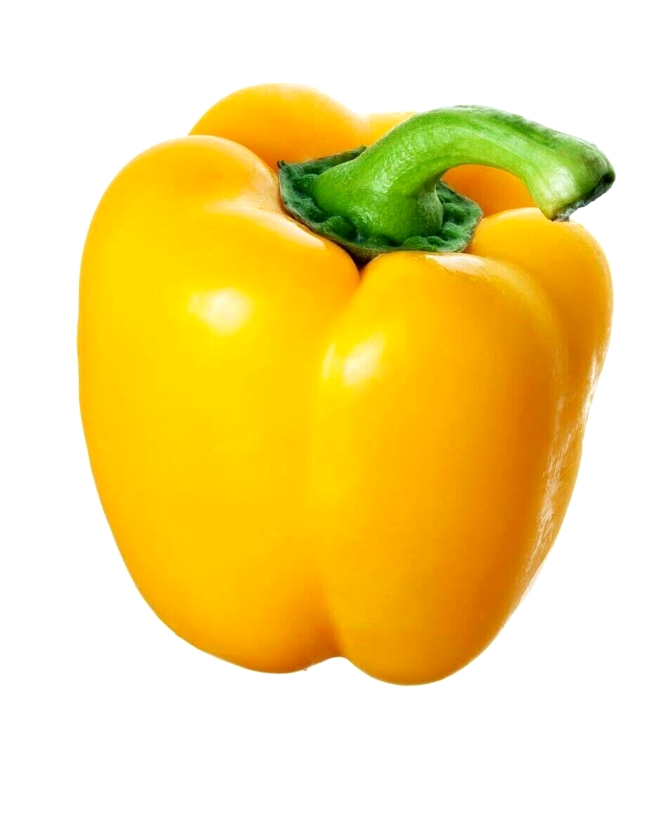 25 California Wonder Yellow Pepper Spring Garden Heirloom Non-Gmo Vegetable Seeds | www.seedsplantworld.com