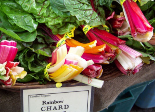 80 Swiss Chard Rainbow Swiss Chard Colorful Vegetable Seeds | www.seedsplantworld.com