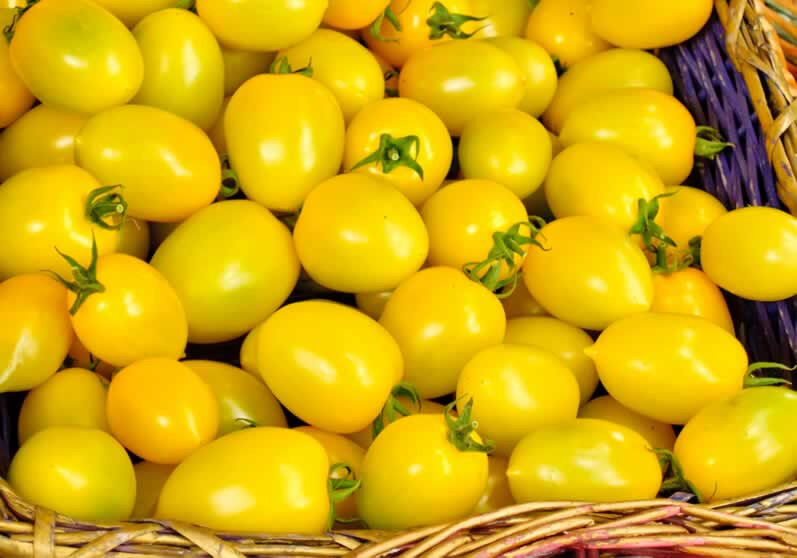 40 Tomato Yellow Plum Tomato Vegetable Seeds | www.seedsplantworld.com