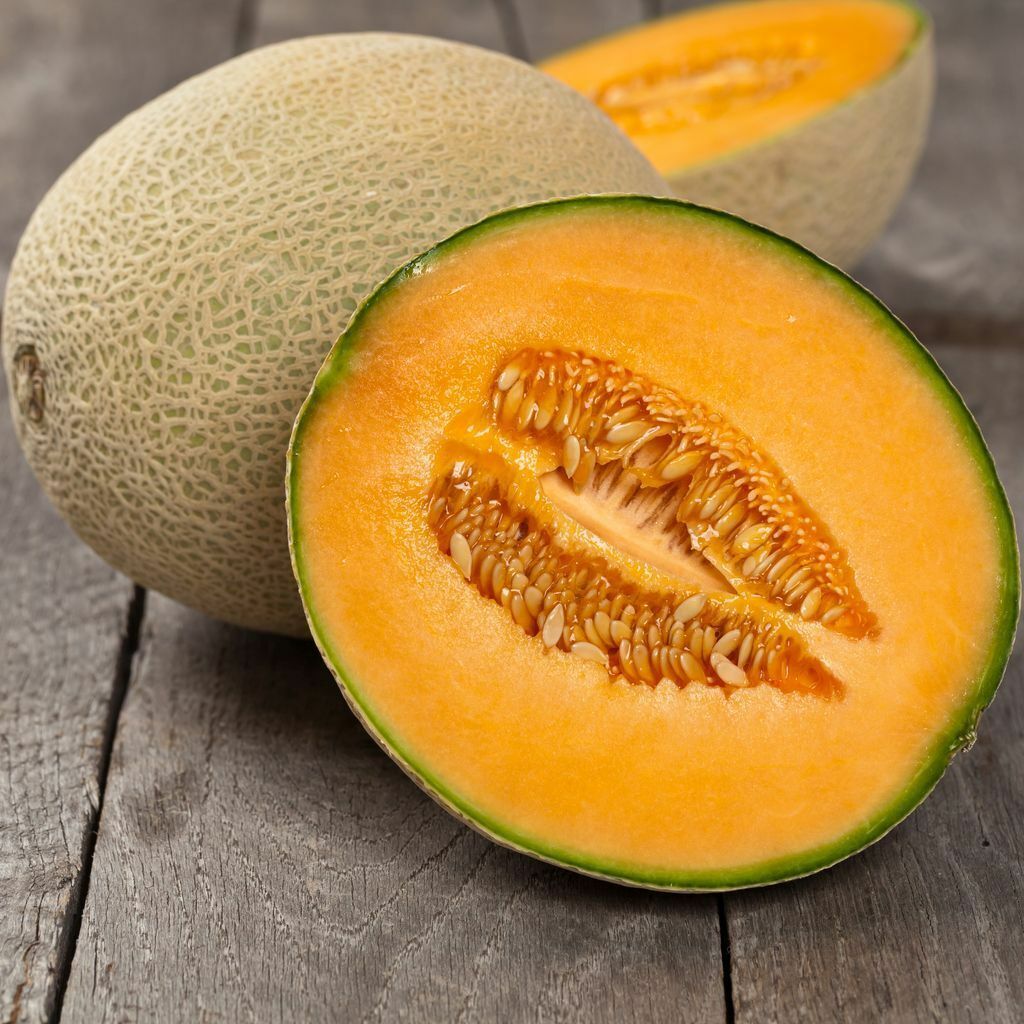 50+ Iroquois Cantaloupe Cucumis Melo Muskmelon Fruit Seeds | www.seedsplantworld.com