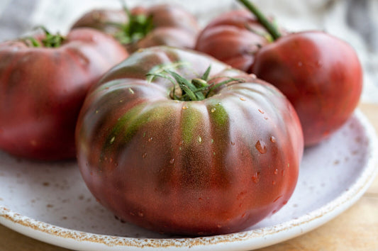 80 Black Krim Tomato Solanum Lycopersicum Indeterminate Heirloom Beefsteak Seeds | www.seedsplantworld.com