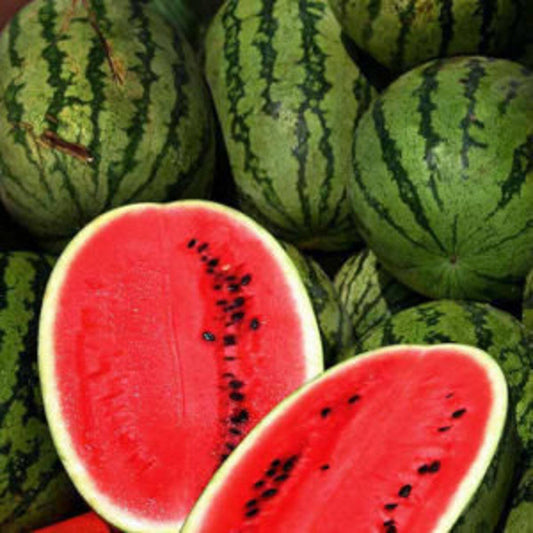 25+ Cal Sweet Supreme Watermelon Melon Heirloom NON-GMO Fruit Seeds | www.seedsplantworld.com