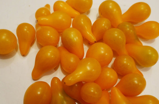 85 Tomato Yellow Pear Heirloom Vegetable Seeds | www.seedsplantworld.com